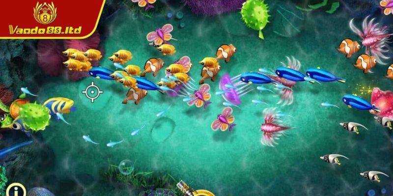 Kích hoạt các tính năng đặc